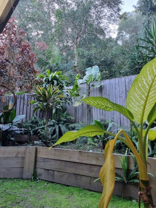 Cheerful 3-bedroom In The Heart Of Burleigh Heads *